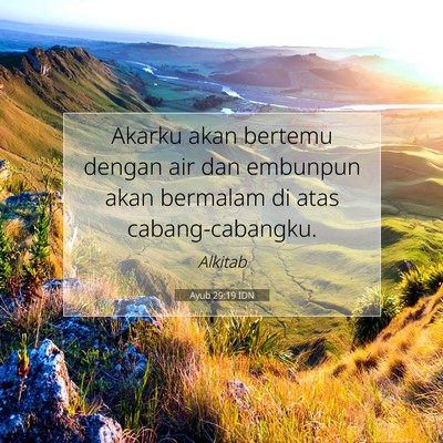 Ayub 29:19 IDN Gambar Ayat Alkitab